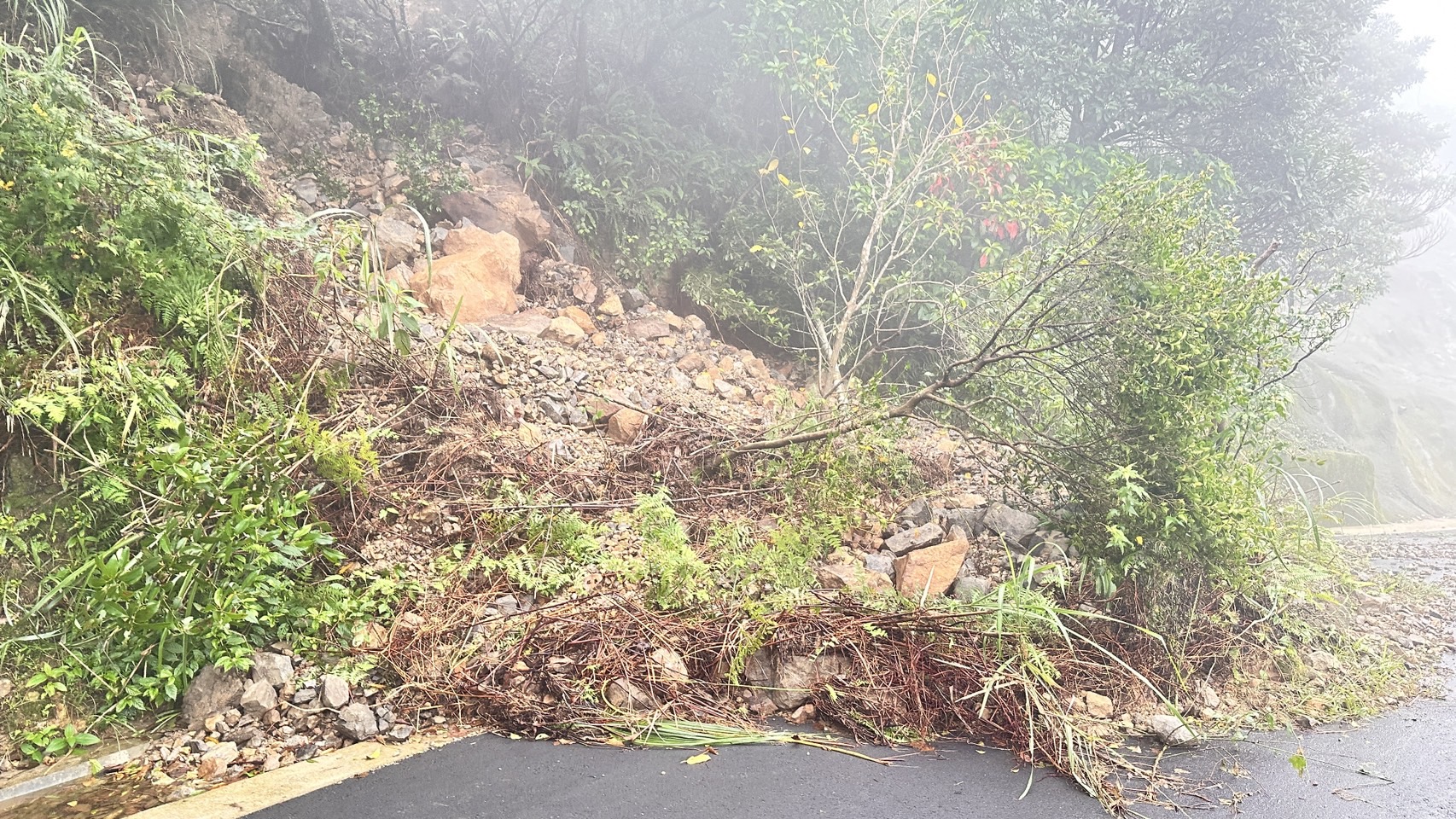 茶壺山登山步道 預防性封閉