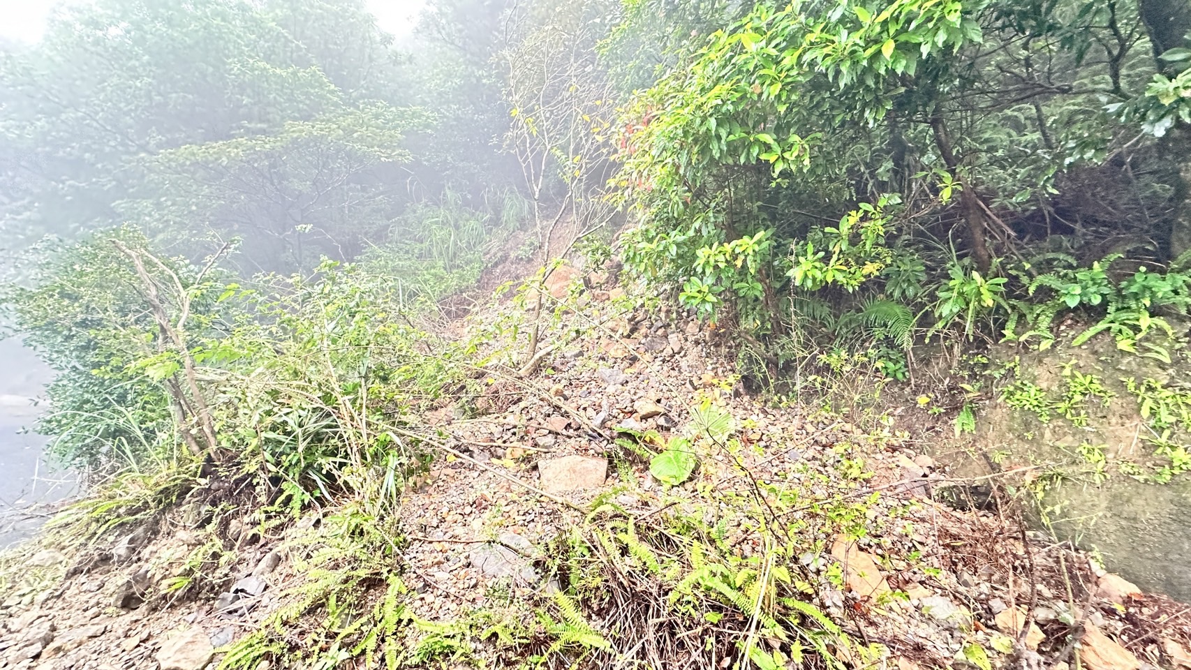茶壺山登山步道 預防性封閉