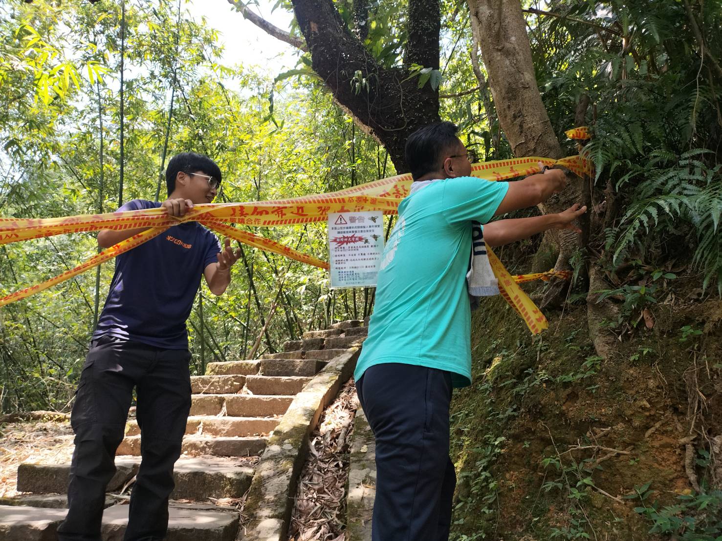 現日三貂嶺步道重啟開放，公部門持續加強對虎頭蜂螫傷宣導