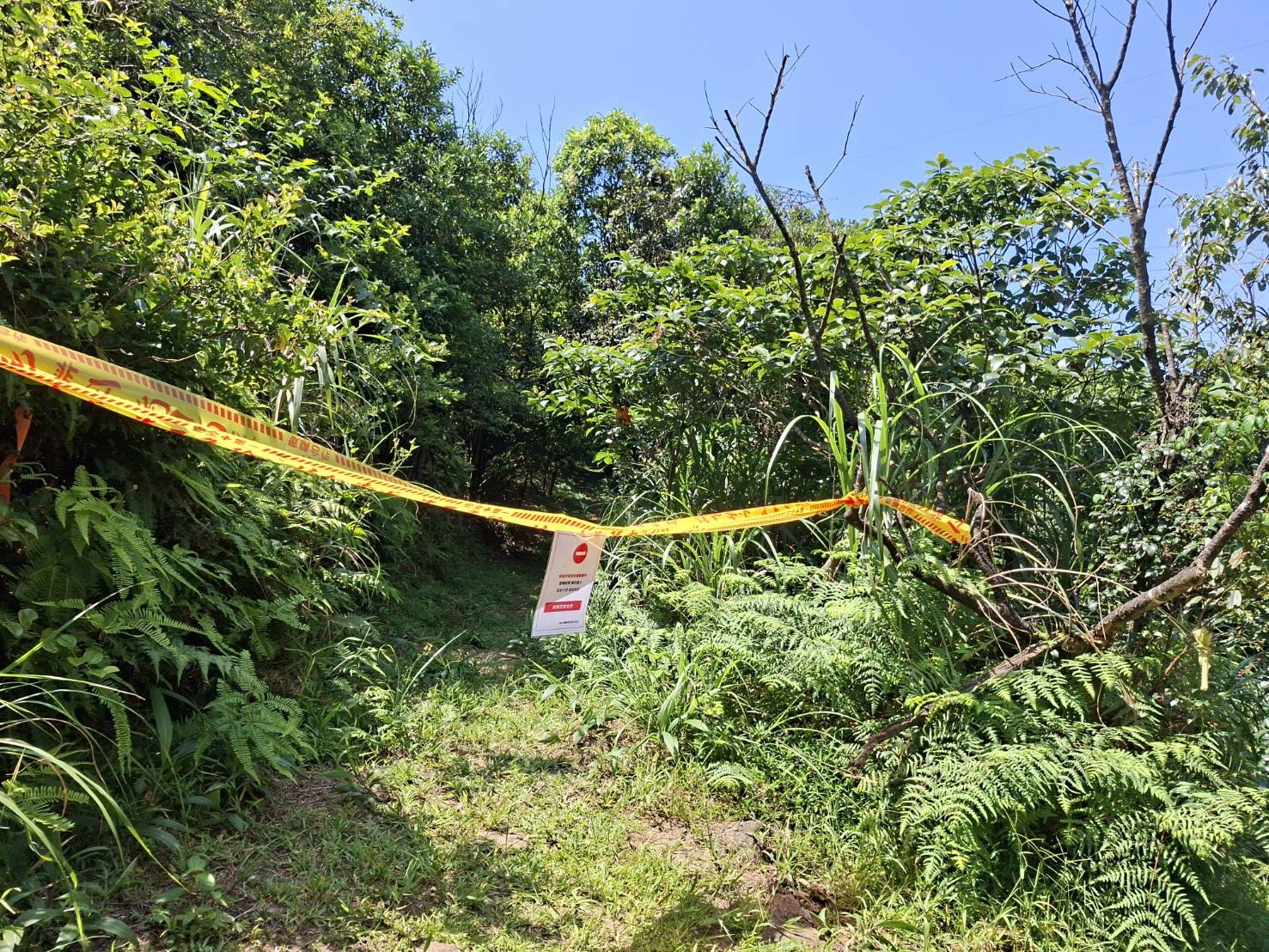 步道蜂螫事件已拉封鎖