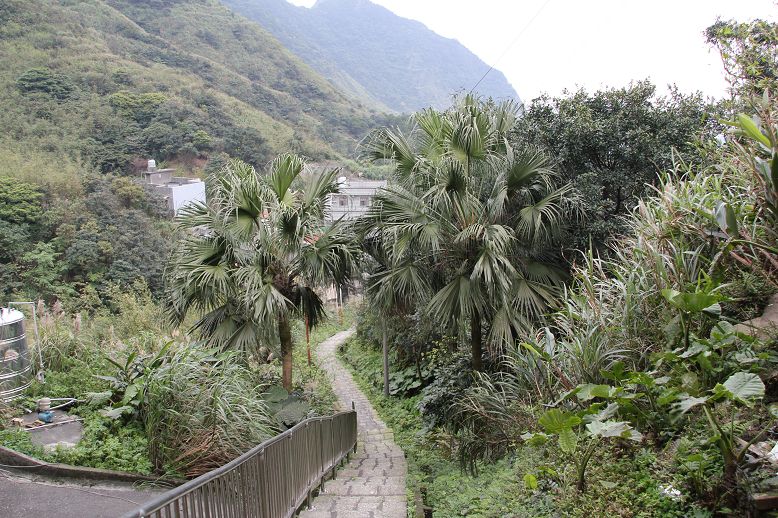 山間步道照片