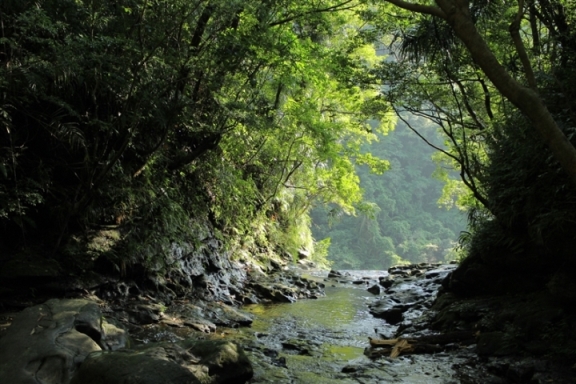 山間溪流照片